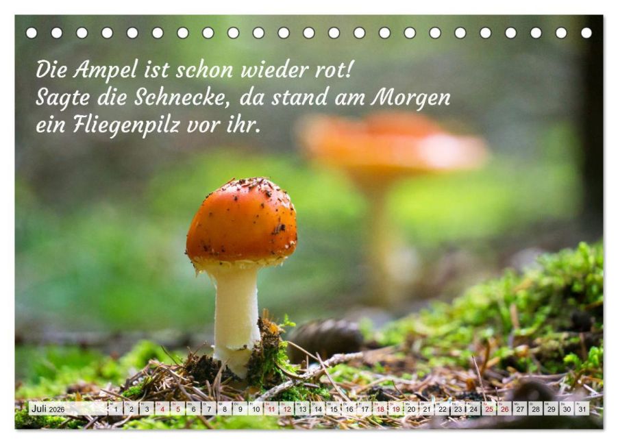 InsideView 12