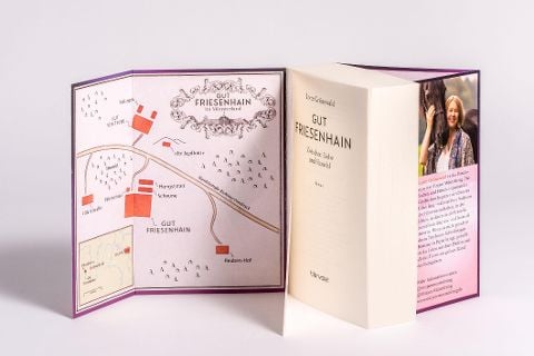 InsideView 6