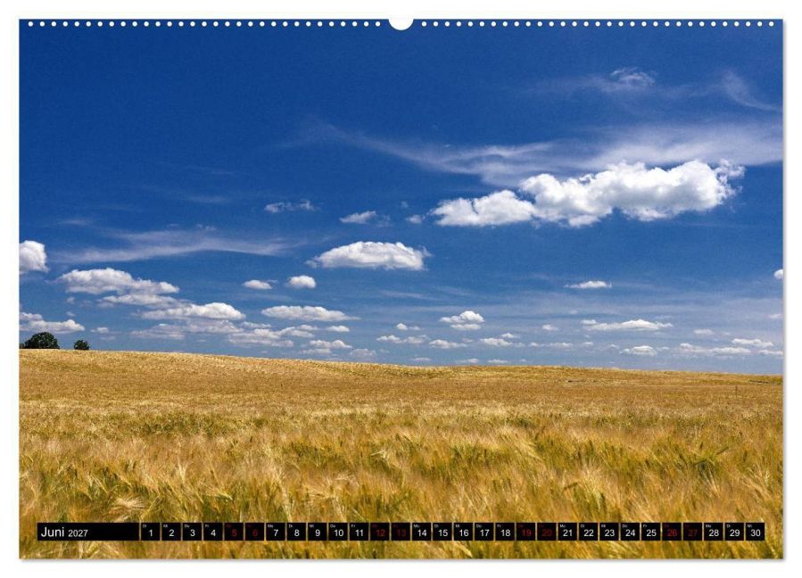 InsideView 11