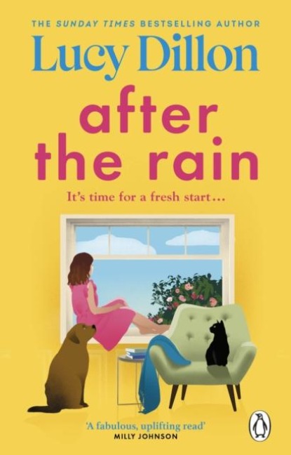After the Rain - Lucy Dillon