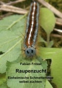 Cover-Bild zum Titel 'Raupenzucht' von 'Fabian Fritzer'