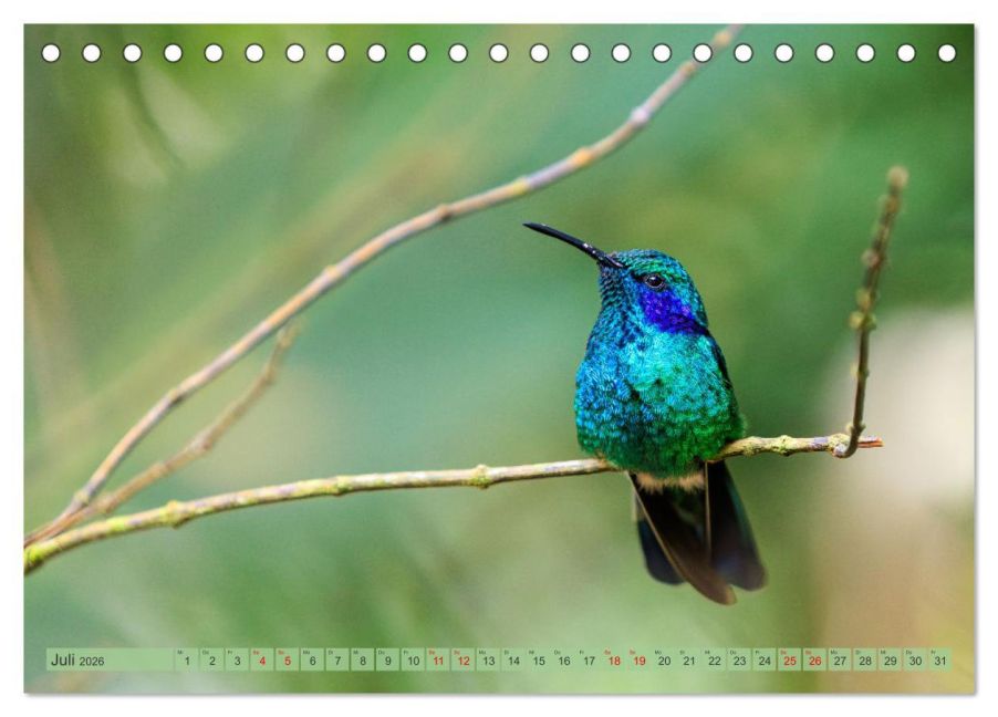 InsideView 12