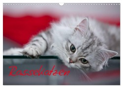 Rassekatzen (Wandkalender 2026 DIN A3 quer), CALVENDO Monatskalender - Melanie Viola