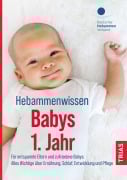 Cover-Bild zum Titel 'Hebammenwissen Babys 1. Jahr' von ''