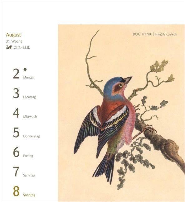 InsideView 12