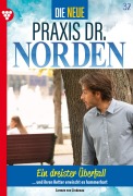 Cover-Bild zum Titel 'Ein dreister Überfall' von 'Carmen von Lindenau'