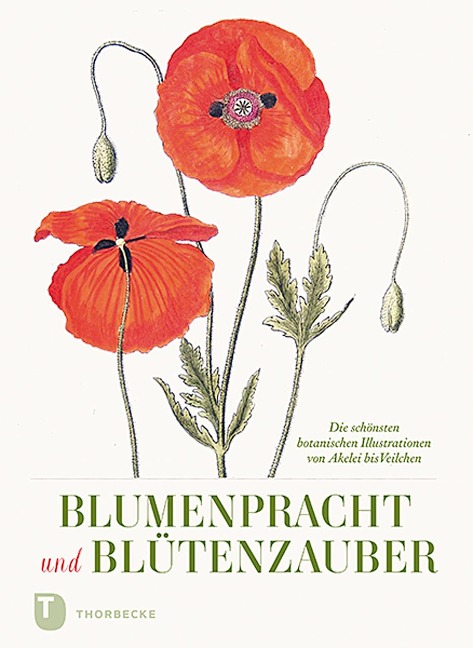 Blumenpracht und Blütenzauber - 