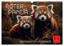Roter Panda - gefährdeter Katzenbär (Wandkalender 2026 DIN A3 quer), CALVENDO Monatskalender - Peter Roder