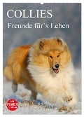 Collies - Freunde für¿s Leben (Wandkalender 2025 DIN A2 hoch), CALVENDO Monatskalender - Sigrid Starick