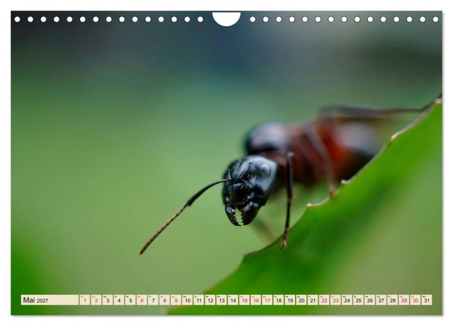 InsideView 10