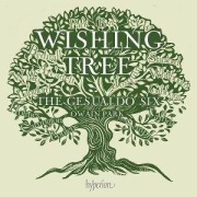 Cover-Bild zum Titel 'Wishing Tree' von 'Owain/Gesualdo Six Park'