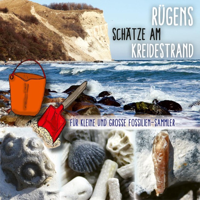 Rügens Schätze am Kreidestrand - Für kleine und große Fossiliensammler - Ohmuthis Welt