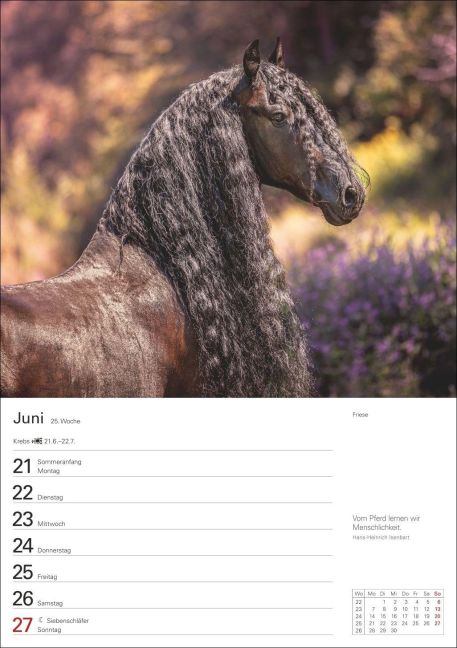InsideView 6