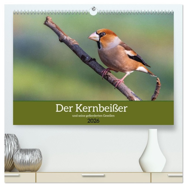Der Kernbeißer und seine gefiederten Gesellen (hochwertiger Premium Wandkalender 2026 DIN A2 quer), Kunstdruck in Hochglanz - Ursula Di Chito