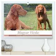 Cover-Bild zum Titel 'Magyar Vizsla - Vielseitiger Jagdhund mit Familienanschluss (hochwertiger Premium Wandkalender 2026 DIN A2 quer), Kunstdruck in Hochglanz' von 'Barbara Mielewczyk'