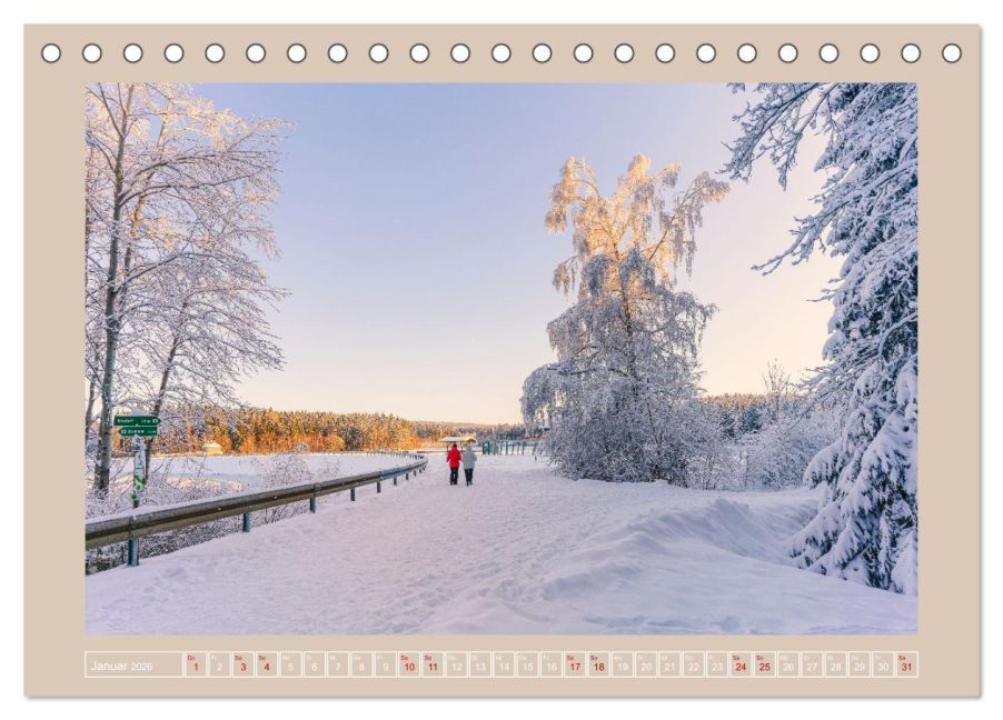 InsideView 6