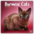 Burmese Cats - Burma Katzen 2025 - 16-Monatskalender - Avonside Publishing