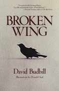 Cover-Bild zum Titel 'Broken Wing' von 'David Budbill'