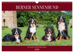 Cover-Bild zum Titel 'Berner Sennenhund - Der beste Freund fürs Leben (Wandkalender 2026 DIN A3 quer), CALVENDO Monatskalender' von 'Sigrid Starick'