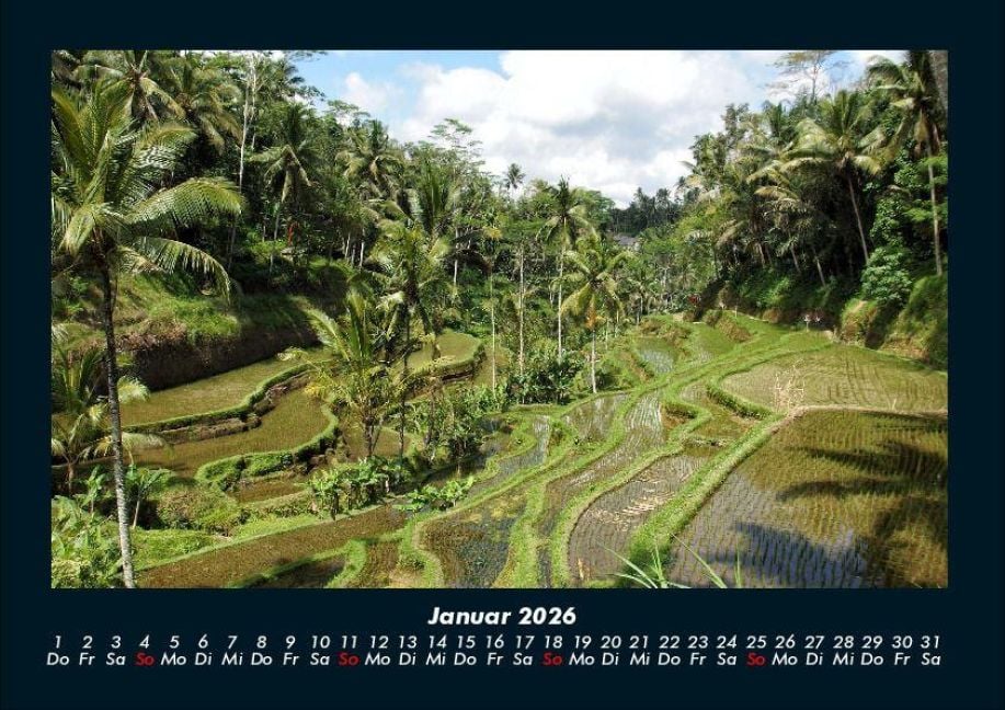 InsideView 5