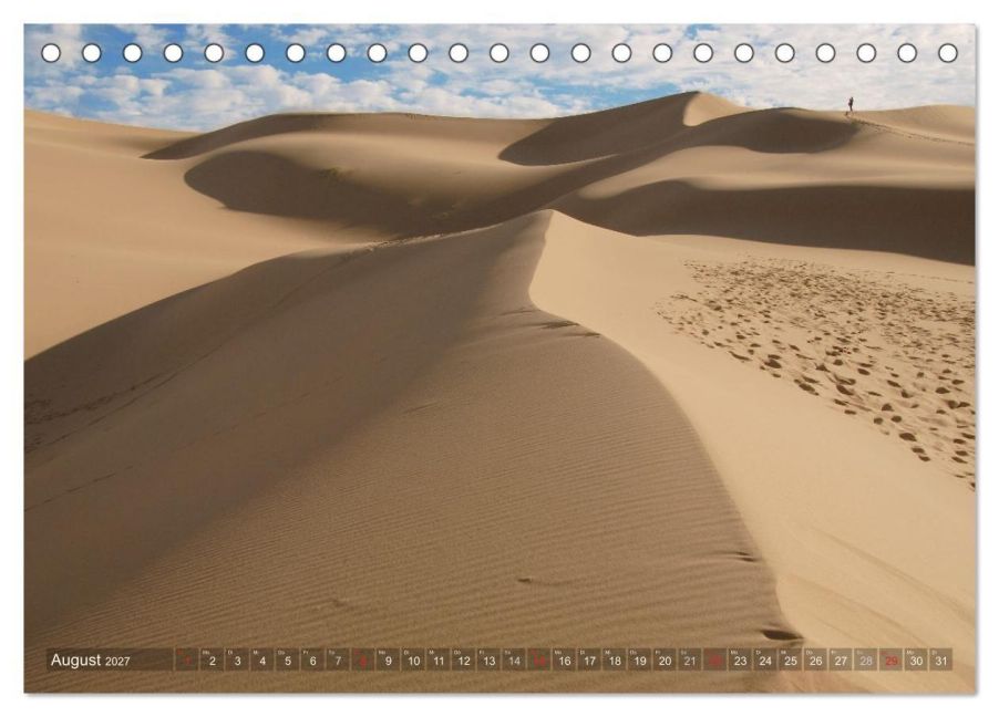 InsideView 13