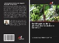 Cover-Bild zum Titel 'Certificazione della piantaggine lavorata in Camerun' von 'Louis-Bertrand Mbolo Mbolo'