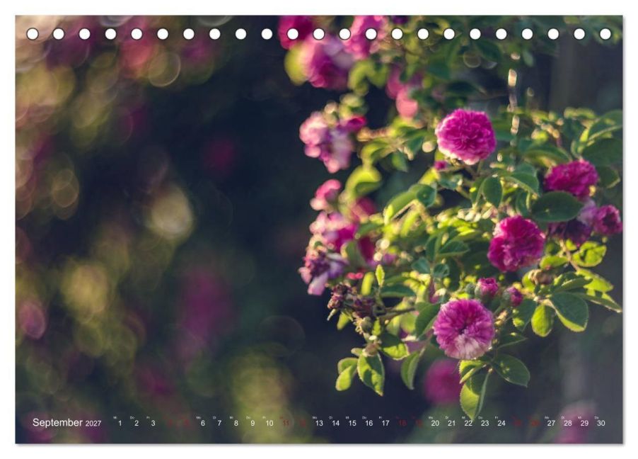InsideView 14