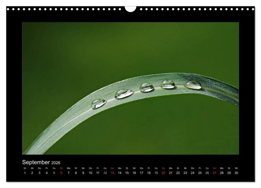 InsideView 14