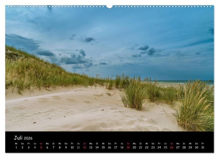 InsideView 12