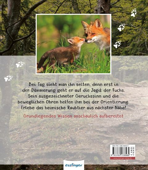 InsideView 6