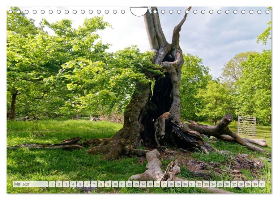 InsideView 10