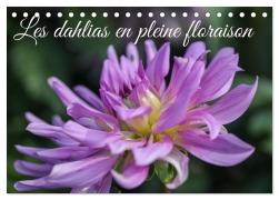 Cover-Bild zum Titel 'Les Dahlias en pleine floraison (Calendrier de bureau 2026 DIN A5 vertical), CALVENDO calendrier mensuel' von 'Sarah Gilliéron'
