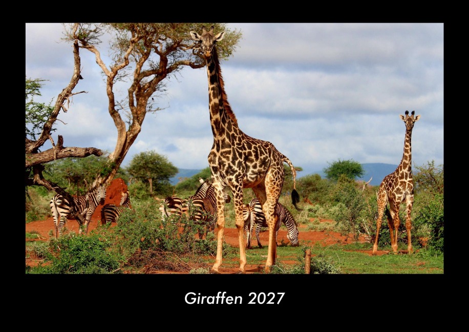 Giraffen 2027 Fotokalender DIN A3 - Tobias Becker