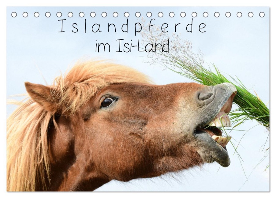 Islandpferde im Isi-Land (Tischkalender 2026 DIN A5 quer), CALVENDO Monatskalender - Klaus Gerken