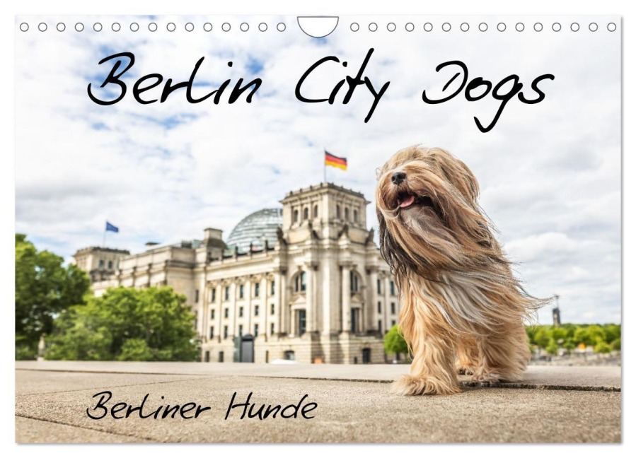 Berlin City Dogs - Berliner Hunde (Wandkalender 2026 DIN A4 quer), CALVENDO Monatskalender - Bc Tierfotografie Bianca Clemens