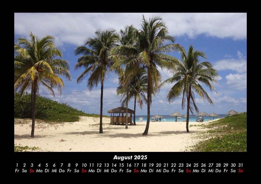 InsideView 12