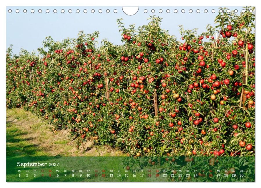 InsideView 14