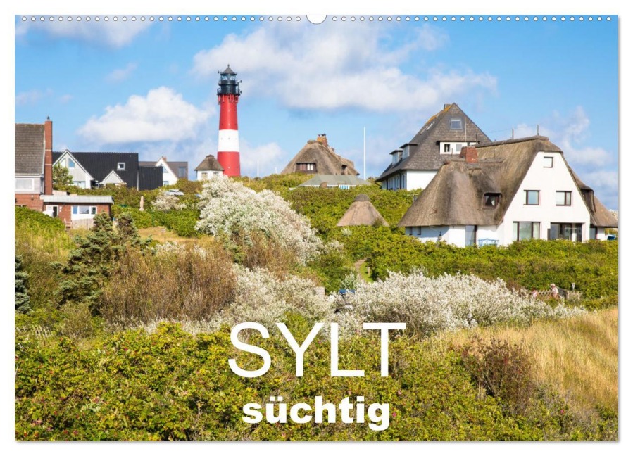 Sylt süchtig (Wandkalender 2026 DIN A2 quer), CALVENDO Monatskalender - Dietmar Scherf