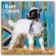 Cover-Bild zum Titel 'Baby Goats - Ziegenbabys 2027 - 16-Monatskalender' von 'Browntrout Publishers'