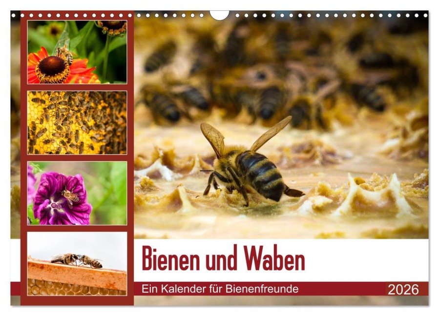 Bienen und Waben (Wandkalender 2026 DIN A3 quer), CALVENDO Monatskalender - Barbara Wilms