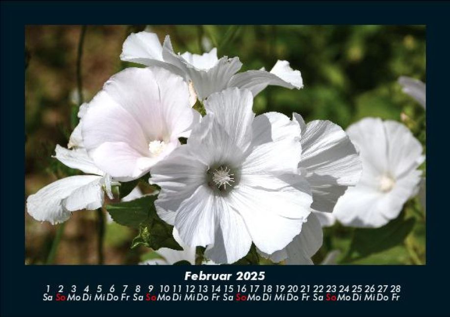 InsideView 6
