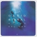 Cover-Bild zum Titel 'Hijos Del Mar' von 'David Bisbal'