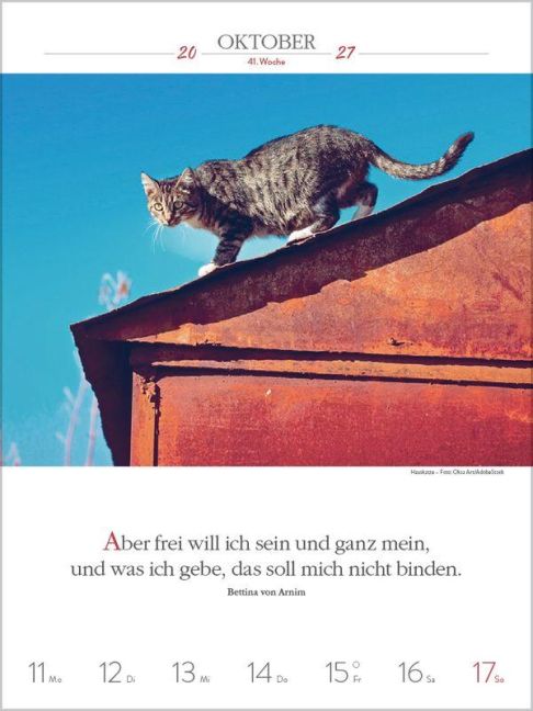 InsideView 10