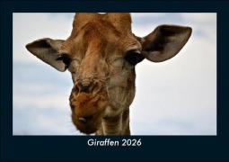 Cover-Bild zum Titel 'Giraffen 2026 Fotokalender DIN A5' von 'Tobias Becker'