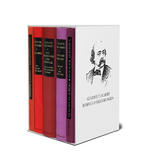 Romane und Erzählungen (5 Bände im Schuber) - Gustave Flaubert