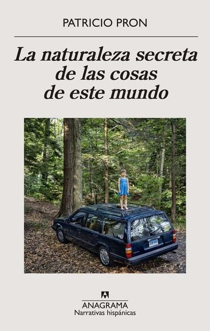 Naturaleza Secreta de Las Cosas de Este Mundo, La - Patricio Pron