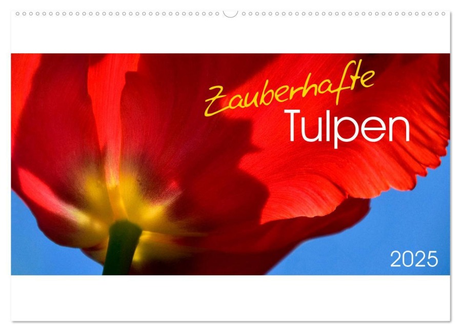 Zauberhafte Tulpen (Wandkalender 2025 DIN A2 quer), CALVENDO Monatskalender - Gesine Trabant