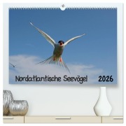 Cover-Bild zum Titel 'Nordatlantische Seevögel (hochwertiger Premium Wandkalender 2026 DIN A2 quer), Kunstdruck in Hochglanz' von 'Gerald Wolf'