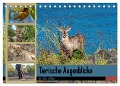 Tierische Augenblicke in Südafrika (Tischkalender 2024 DIN A5 quer), CALVENDO Monatskalender - Norbert W. Saul