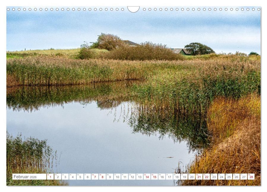 InsideView 7